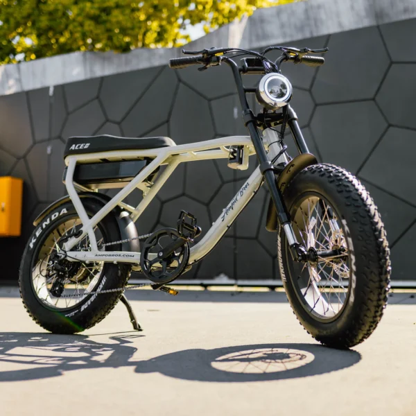 ACE-X Plus+ Electric Bike - Image 3