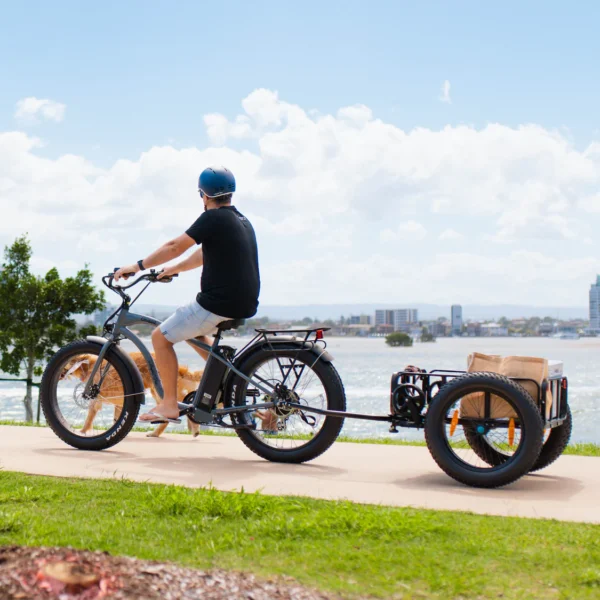 CHUBBIE 2 Electric Beach Cruiser Bike - Image 9