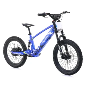 EVO Racing 18 Electric Bike