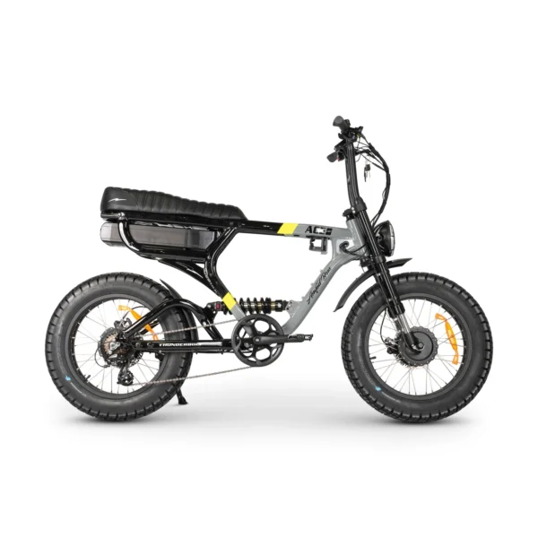 ACE-X Demon Dual Motor Electric Bike - Image 5