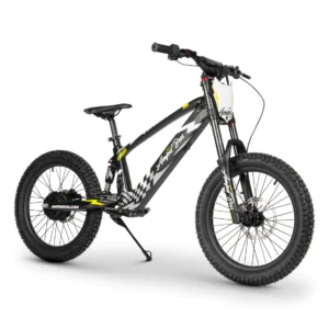 EVO Racing 20 Electric Bike