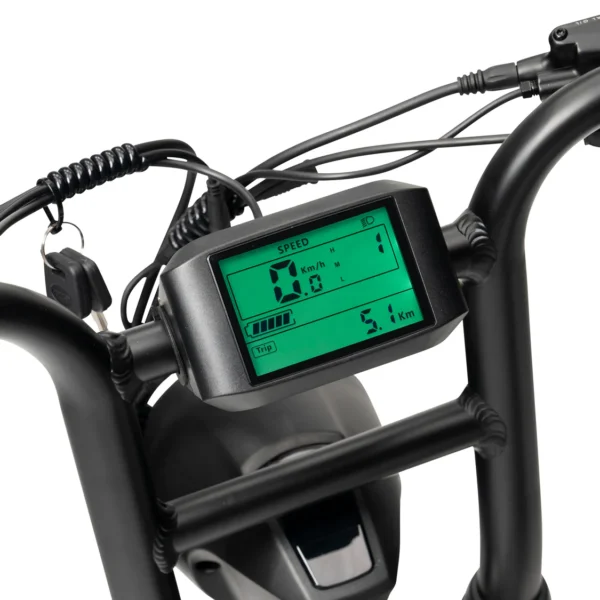 ACE Rally Plus+ Edition Electric Bike - Image 6