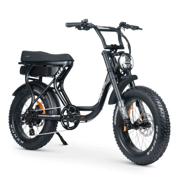 ACE-S Plus+ Electric Bike