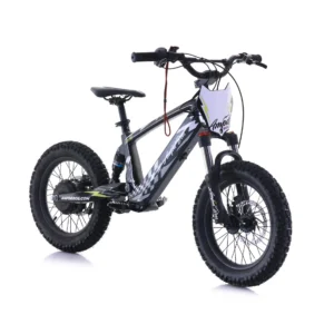 EVO Racing 16 Electric Bike