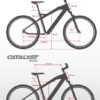 Smartmotion Catalyst - Image 2